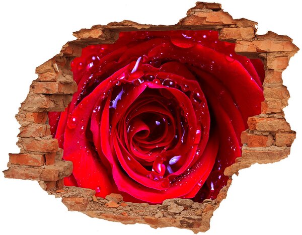 3d fali matrica lyuk a falban Rózsa virág