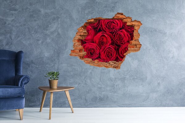 3d fali matrica lyuk a falban Roses