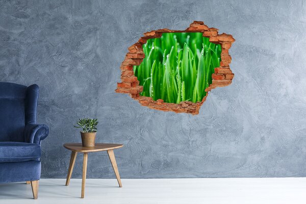 3d fali matrica lyuk a falban Fű