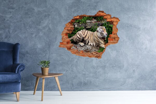 3d fali matrica lyuk a falban Tiger a rock
