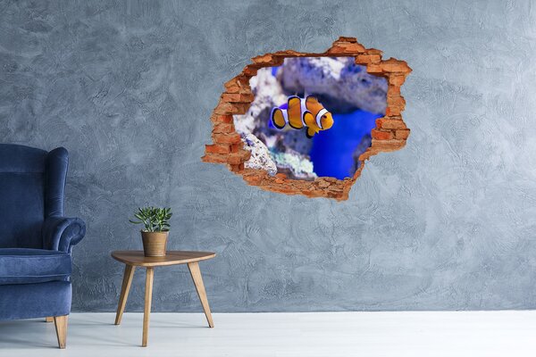 3d fali matrica lyuk a falban Bohóc korallzátony