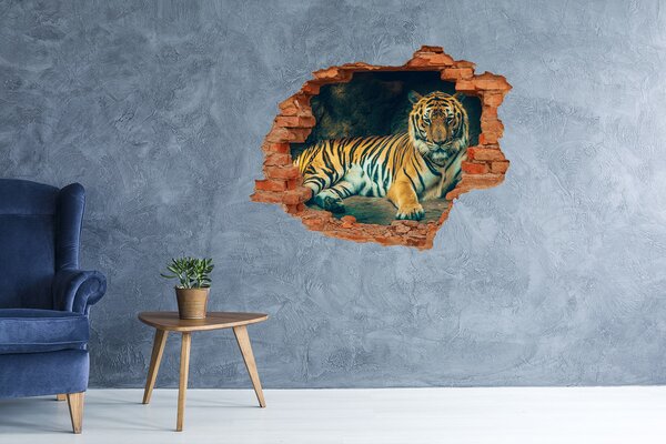 Lyuk 3d fali matrica Tiger cave