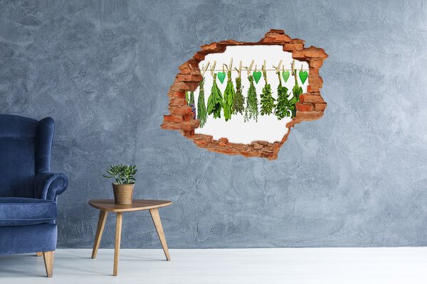 Lyuk 3d fali matrica Herbs egy húr