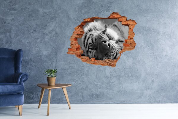 Lyuk 3d fali matrica Alvó tigris