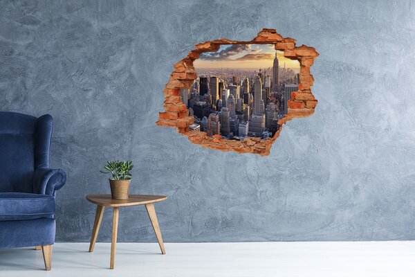 Lyuk 3d fali matrica New york-i járat madár