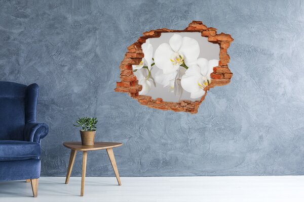 Lyuk 3d fali matrica Orchidea
