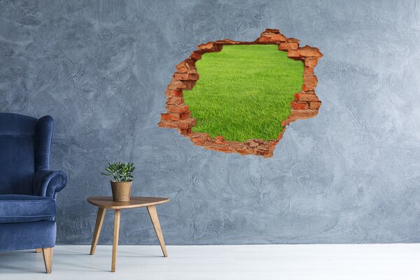 Lyuk 3d fali matrica Zöld fű