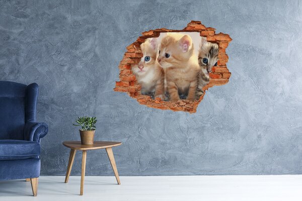 Lyuk 3d fali matrica Kis macska