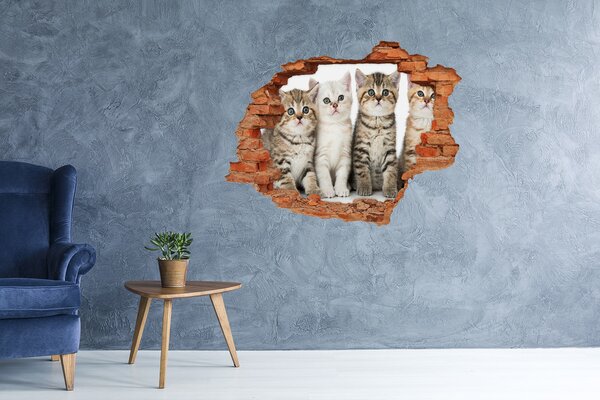 Lyuk 3d fali matrica Kis macska