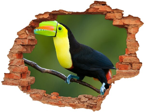 Lyuk 3d fali matrica Tukánmadár