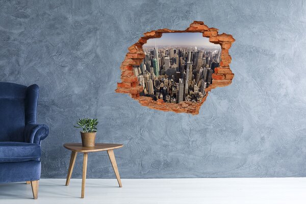 Lyuk 3d fali matrica New york-i járat madár
