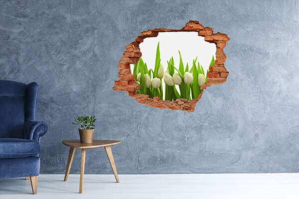Lyuk 3d fali matrica Fehér tulipán