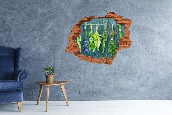 3d-s lyuk vizuális effektusok matrica Herbs egy húr
