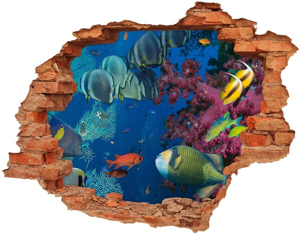 3d-s lyuk vizuális effektusok matrica Korallzátony