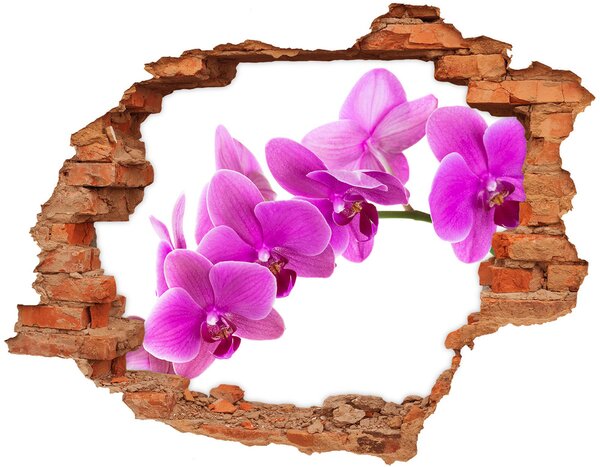 Fali matrica lyuk a falban Rózsaszín orchidea