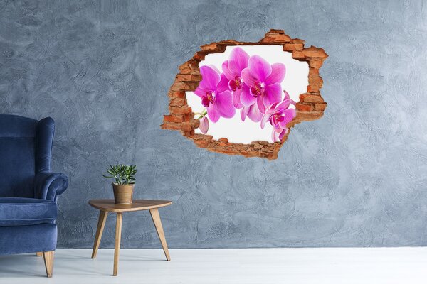 Fali matrica lyuk a falban Rózsaszín orchidea