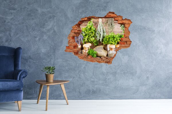 Fali matrica lyuk a falban Herbs egy húr