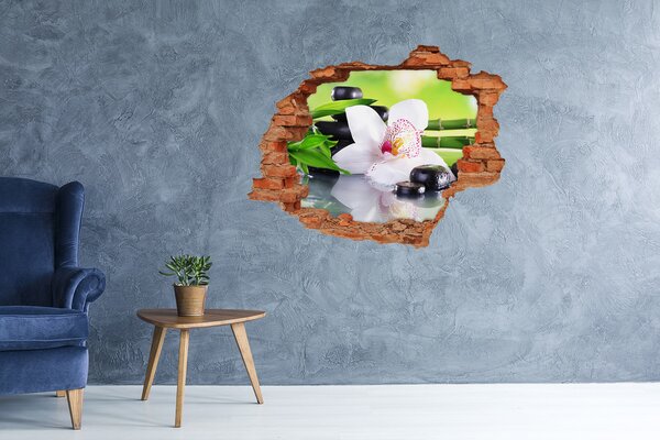 Fali matrica lyuk a falban Orchidea