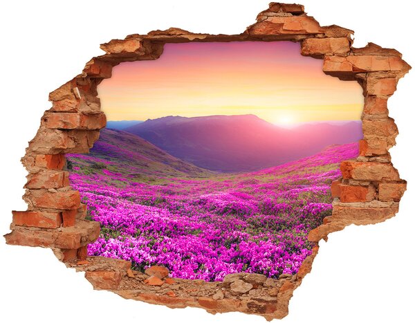 Fali matrica lyuk a falban Rózsaszín domb