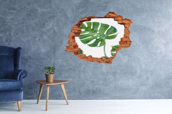Fali matrica lyuk a falban Monstera