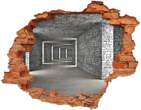 Fali matrica lyuk a falban Brick tunnel