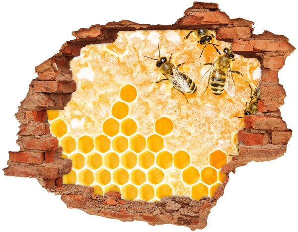 Fali matrica lyuk a falban Dolgozó méhek
