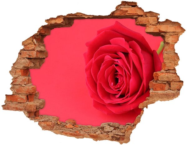 Fali matrica lyuk a falban Vörös rózsa