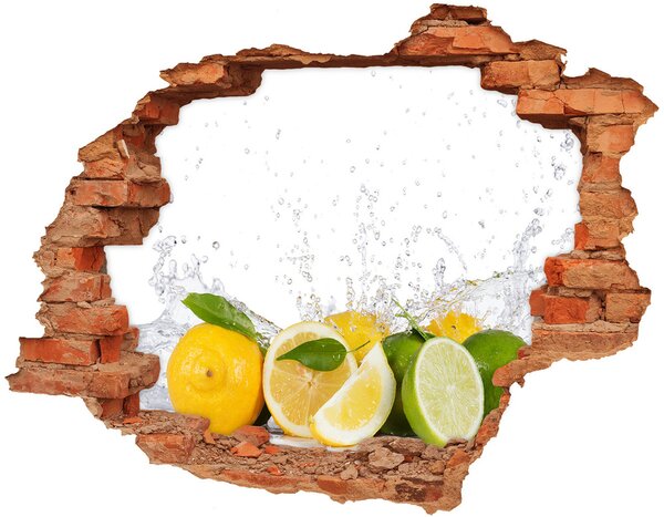 Fali matrica lyuk a falban Citrusfélék és a víz