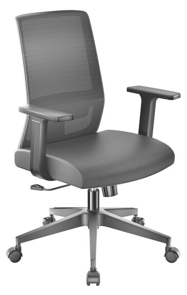 Ergonomikus irodai szék deréktámasszal, állítható magasság, légáteresztő háttámla 64985