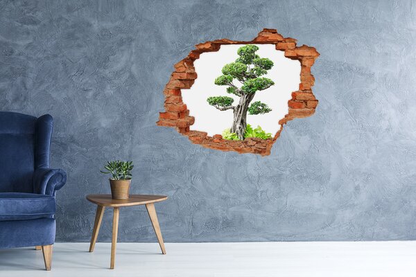 3d-s lyukat fali matrica Bonsai fa