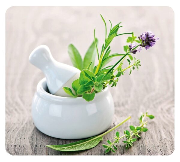 Edzett üveg falvédő tűzhelyhez 50x56 cm Herb Garden – Wenko