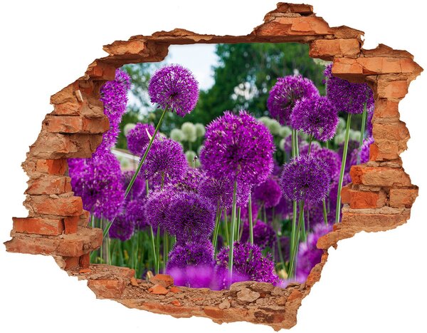 3d lyuk fal dekoráció Virágok fokhagyma
