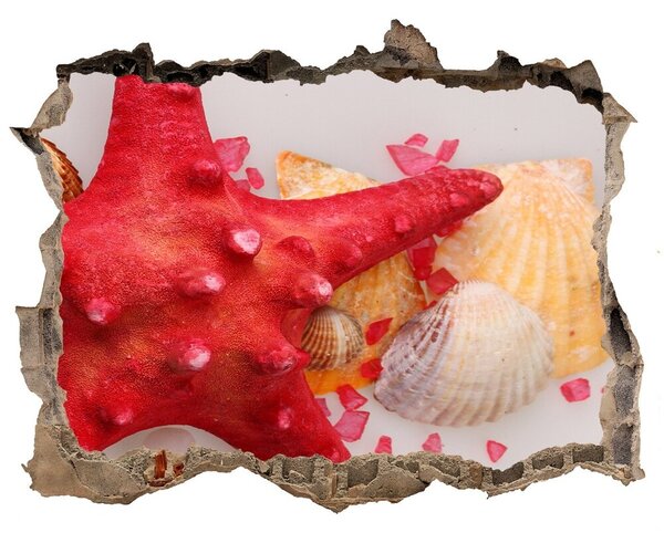 3d-s lyuk vizuális effektusok matrica Starfish és kagylók