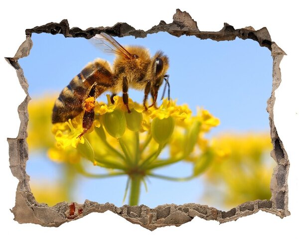 3d-s lyuk vizuális effektusok matrica Méh a virágon