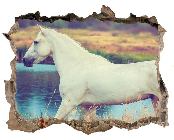 3d lyuk fal dekoráció White horse-tó