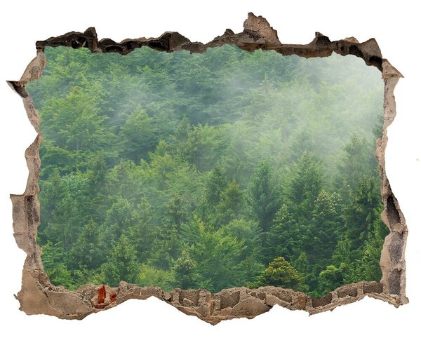 3d lyuk fal dekoráció Rejtélyes erdő