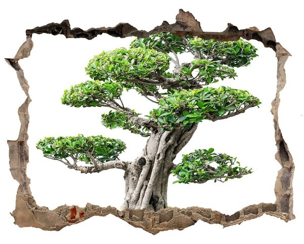 3d lyuk fal dekoráció Bonsai fa