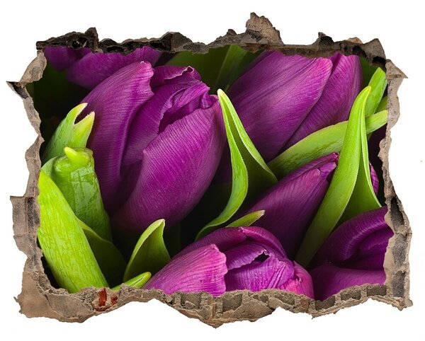 3d lyuk fal dekoráció Lila tulipánok