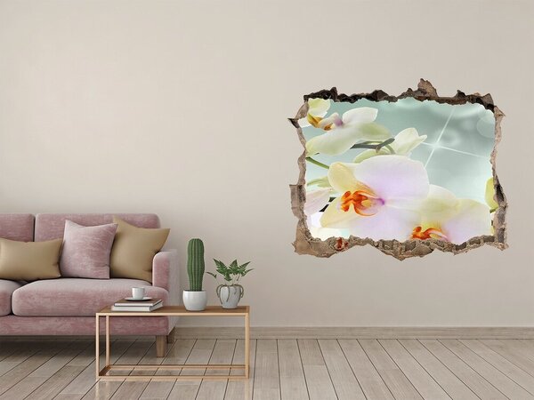 3d lyuk fal dekoráció Fehér orchidea