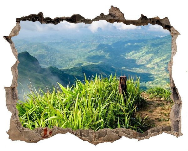 3d lyuk fal dekoráció Trail a tetejére