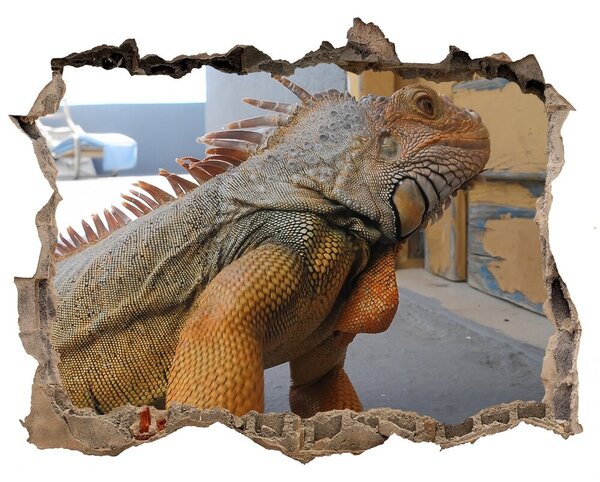 3d lyuk fal dekoráció Gyümölcs és víz