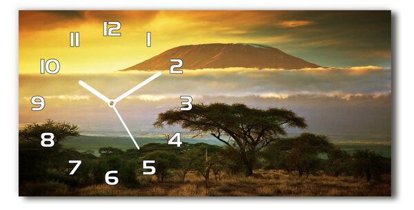 Üvegóra vízszintesen Kilimanjaro kenya