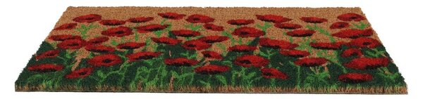 Kókuszrost lábtörlő 40x60 cm - Esschert Design