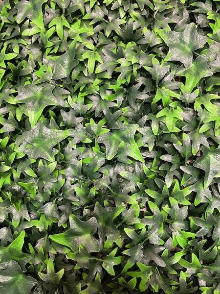 UV-álló zöld falpanel Ivy 50x50 cm teraszra
