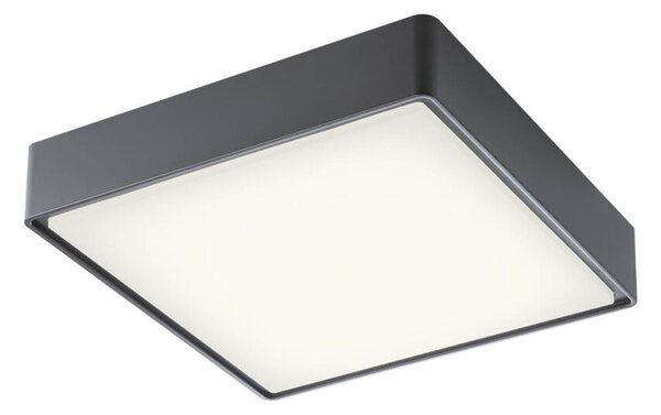 MARINA PL30 kültéri LED mennyezeti lámpa szürke