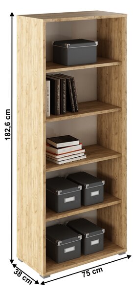 Nyitott állvány,artisan tölgy/fehér, RIOMA TYP 03