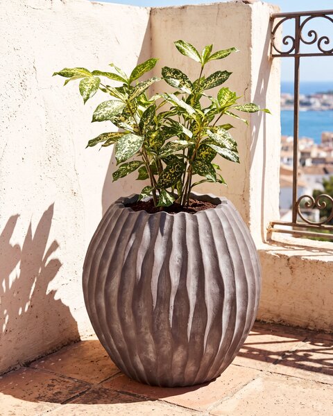 Virágcserép AUSSEE 43 cm Barna