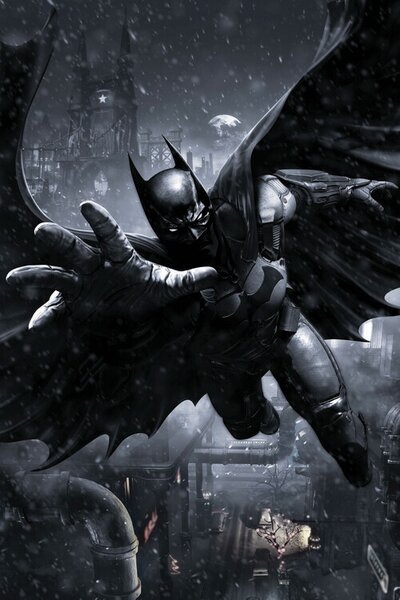 Művészi plakát Batman Arkham Origins, (26.7 x 40 cm)