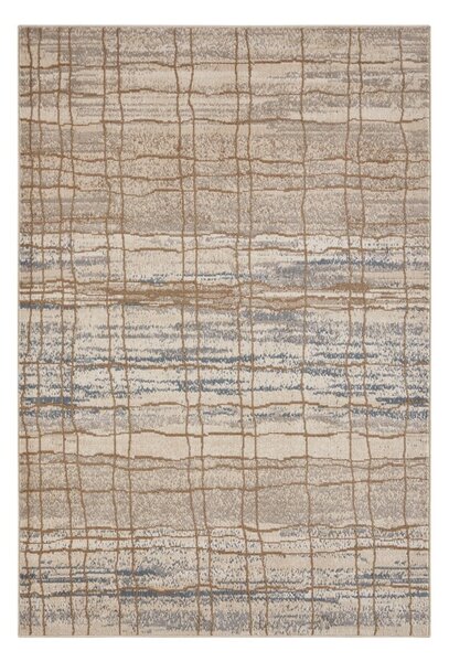 Bézs szőnyeg 170x120 cm Terrain - Hanse Home