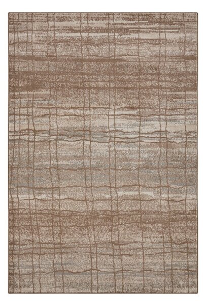 Barna-bézs szőnyeg 120x80 cm Terrain - Hanse Home